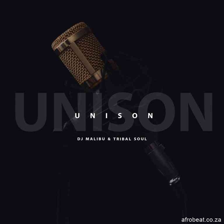 DJ Malibu Tribal Soul – Unison Hiphopza - DJ Malibu & Tribal Soul – Unison