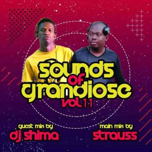 Dj Shima – Sounds of Grandiose vol. 11 Guest Mix Hiphopza 300x300 - Dj Shima – Sounds of Grandiose vol. 11 (Guest Mix)