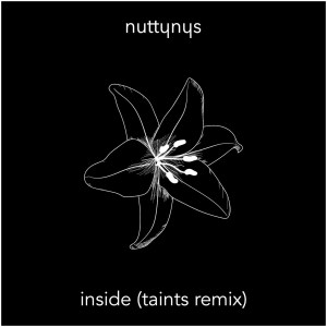 Nutty Nys – Inside Taints Remix Hiphopza - Nutty Nys – Inside (Taints Remix)