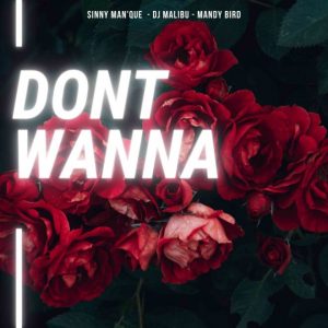 Sinny ManQue DJ Malibu Mandy Bird – Dont Wanna Hiphopza 300x300 - Sinny Man’Que, DJ Malibu &amp; Mandy Bird – Don’t Wanna