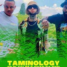 Taminology – Nkao Jola 2.0 Ft. Chad Da Don Blaklez Hiphopza - Taminology – Nkao Jola 2.0 Ft. Chad Da Don &amp; Blaklez