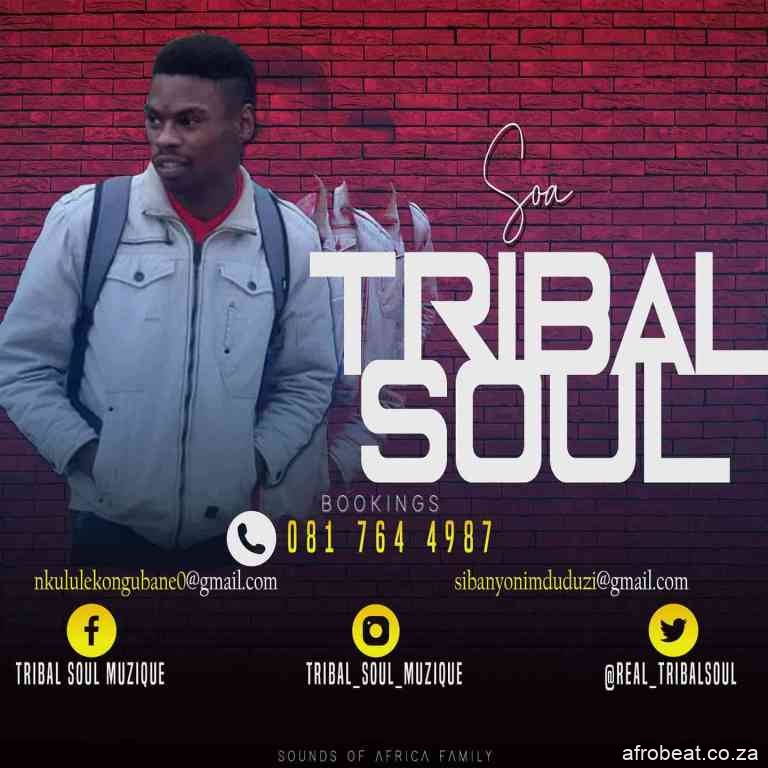 Tribal Soul – SOA Exclusive Selections Vol. 1 Hiphopza - Tribal Soul – SOA Exclusive Selections Vol. 1