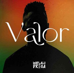 Wadlalu Drega – Valor Hiphopza 3 300x296 - Wadlalu Drega – Deda Mhlekazi