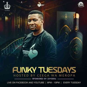 Ceega – Funky Tuesday Mix 18 May Hiphopza 300x300 - Ceega – Funky Tuesday Mix (18-May)