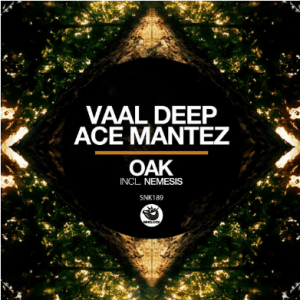 Vaal Deep Ace Mantez Oak Original Mix fakazadownload 300x300 - Vaal Deep &amp; Ace Mantez – Oak (Original Mix)