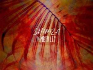 images 27 300x225 - Shimza – Kimberley (Mehari Remix)