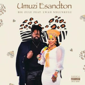 Big Zulu – Umuzi eSandton ft. Lwah The Ndlunkulu Afro Beat Za 300x300 - Big Zulu – Umuzi eSandton ft. Lwah The Ndlunkulu
