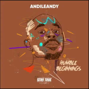 AndileAndy Humble Beginnings zip album download zamusic Afro Beat Za 5 300x300 - AndileAndy – If You Let Me (Take You) ft. Tiny