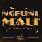 KXD BEATS – Ngfuni Mali ft Money Ostrich mp3 download zamusic Afro Beat Za - KXD BEATS – Ngfuni Mali ft Money Ostrich