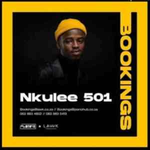 Nkulee 501 Fountain Hills Dub Mix Hip Hop More Afro Beat Za - Nkulee 501 – Fountain & Hills (Dub Mix)