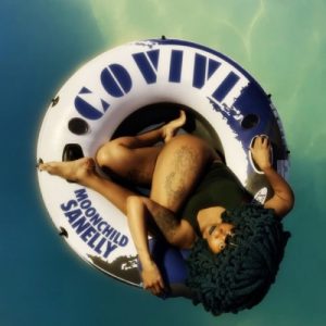 01 Covivi feat  Theology HD mp3 image Hip Hop More Afro Beat Za 300x300 - Moonchild Sanelly ft. Theology HD – Covivi