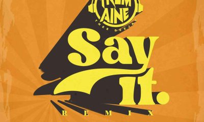 241321958 243283154468980 8029362919149571825 n Afro Beat Za 400x240 - The Squad (Tremaine Thee Deejay) – Say It (Remix)