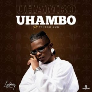 Aubrey Qwana – Uhambo ft. Tshego AMG 1 Hip Hop More Afro Beat Za 300x300 - Aubrey Qwana ft. Tshego AMG – Uhambo