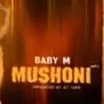 Baby M – Mushoni ft Dj Takie mp3 download zamusic Afro Beat Za - Baby M ft Dj Takie – Mushoni