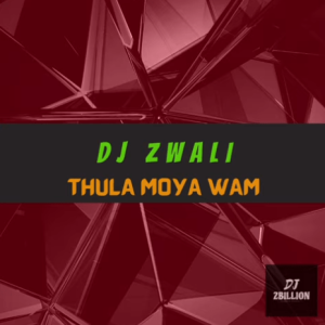 Capture 81 Hip Hop More Afro Beat Za 300x300 - DJ Zwali – Thula Moya Wam (Gospel Gqom)