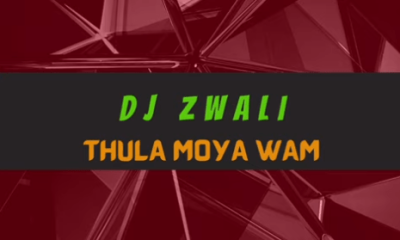 Capture 81 Hip Hop More Afro Beat Za 400x240 - DJ Zwali – Thula Moya Wam (Gospel Gqom)