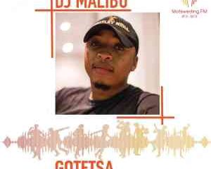 DJ Malibu – Motsweding FM Mix 53 mp3 download zamusic Afro Beat Za 300x240 - DJ Malibu – Motsweding FM Mix 53
