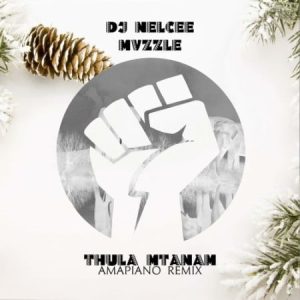 Dj Nelcee Mvzzle – Thula Mtanami Amapiano Remix 1 Afro Beat Za 300x300 - Dj Nelcee & Mvzzle – Thula Mtanami (Amapiano Remix)