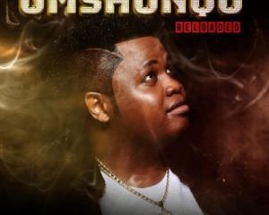 Dladla Mshunqisi – Umshunqo Reloaded mp3 download zamusic Afro Beat Za 300x240 - Dladla Mshunqisi ft. DJ Lag – Owamabomu