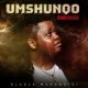 Dladla Mshunqisi – Umshunqo Reloaded mp3 download zamusic Afro Beat Za 80x80 - Dladla Mshunqisi ft. DJ Lag – Owamabomu