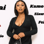 Felo Le Tee Kamo Mphela – Dubai ft Sizwe Alakine Full Version mp3 download zamusic Afro Beat Za - Felo Le Tee & Kamo Mphela ft Sizwe Alakine – Dubai (Full Version)