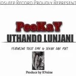 Peekay – Uthando Lunjani Ft Toxic Emh Senah Da Poet mp3 download zamusic Afro Beat Za - Peekay – Uthando Lunjani Ft Toxic Emh $ Senah Da Poet