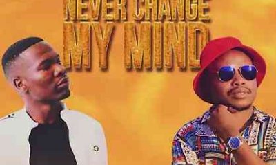 Pro Tee DJ TPZ – Never Change mp3 download zamusic Afro Beat Za 400x240 - Pro-Tee & DJ TPZ – Never Change