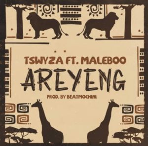 Screenshot 20211012 115218 Afro Beat Za 300x296 - Tswyza Ft. Maleboo ‎- Areyeng