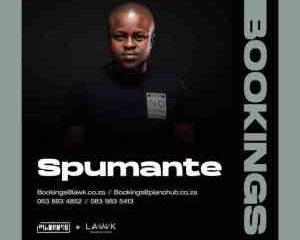 Spumante Kabza De Small – Boizen mp3 download zamusic Afro Beat Za 1 300x240 - Spumate & Tyler ICU Ft. Marie Chan – Love