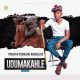 udum Afro Beat Za 2 80x80 - Udumakhle – Amatoho