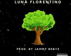 Luna Florentino – Safari Gardens mp3 download zamusic Afro Beat Za 300x240 - Luna Florentino – Safari Gardens