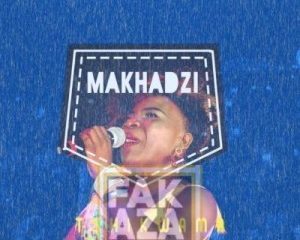 Makhadzi Tshikwama Hip Hop More Afro Beat Za 300x240 - Makhadzi – Tshikiripoto