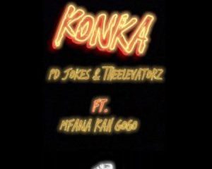 PD jokes The Elevatorz ft Mfana Kah Gogo Konka Hip Hop More Afro Beat Za 300x240 - PD jokes & The Elevatorz ft Mfana Kah Gogo – Konka