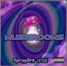 mol Hip Hop More Afro Beat Za - SprngBrk – Mushrooms Ft. Future