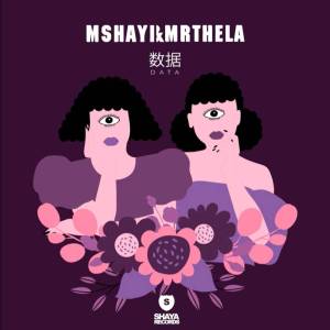 mshayi mr thela data Hip Hop More Afro Beat Za - Mshayi &amp; Mr Thela – Data