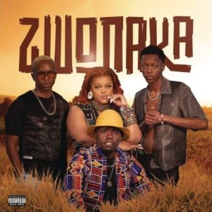 zwo Hip Hop More Afro Beat Za - Mellow &amp; Sleazy, DBN Gogo, Dinho –  Zwonaka