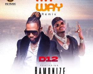 My way ft Harmonize ARTWORK Hip Hop More Afro Beat Za 300x240 - D12 ft Harmonize – My Way Remix