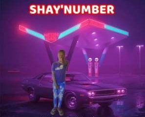 T Gee The Vocalist – SHAYNUMBER Ft. Emploweni Fam Cpt mp3 download zamusic Hip Hop More Afro Beat Za 297x240 - T-Gee The Vocalist Ft. Emploweni Fam Cpt – SHAY’NUMBER