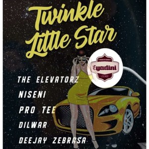the elevatorz – twinkle little star ft pro tee deejay zebra sa niseni dilwar Hip Hop More Afro Beat Za - Pro-Tee Ft. The Elevatorz, Deejay Zebra, Niseni &amp; Dilwar – Twinkle Little Star