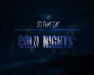 DJ Phat Cat Cold Nights Hip Hop More Afro Beat Za 300x240 - DJ Phat Cat – Cold Nights