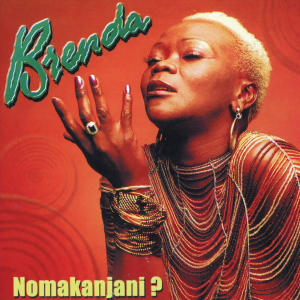 Brenda Fassie Nomakanjani Zip Album Download zamusic Hip Hop More Afro Beat Za 2 300x300 - Brenda Fassie – Nomakanjani (Come What May Mix)