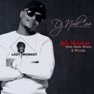 Dj NelCee Wantolobela feat Nate Africa Mvzzle mp3 image Hip Hop More Afro Beat Za 300x300 - DJ NelCee ft. Nate Africa &amp; Mvzzle – Wan’tolobela