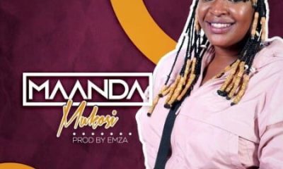 Mukosi – Maanda ft. Emza mp3 download zamusic Hip Hop More Afro Beat Za 400x240 - Mukosi ft. Emza – Maanda