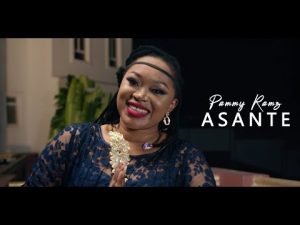 Pammy Ramz–Asante Hip Hop More Afro Beat Za 300x225 - Pammy Ramz – Asante