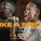 Proclaim Music–Like A Bird e1637640151328 Hip Hop More Afro Beat Za 80x80 - Proclaim Music – Like A Bird
