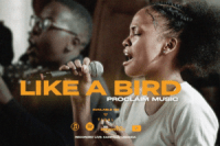 Proclaim Music–Like A Bird e1637640151328 Hip Hop More Afro Beat Za - Proclaim Music – Like A Bird
