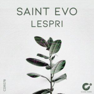 Saint Evo – Lespri Original Mix mp3 download zamusic Hip Hop More Afro Beat Za 300x300 - Saint Evo – Lespri (Original Mix)
