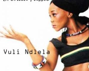 Vulindlela – Brenda Fassie zamusic Hip Hop More Afro Beat Za 300x240 - Brenda Fassie – Vulindlela