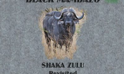download ladysmith black mambazo shaka zulu revisited 30th anniversary celebration album Hip Hop More Afro Beat Za 1 400x240 - Ladysmith Black Mambazo – Hello My Bab