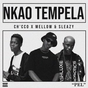 Chicco Nkao Tempela Hip Hop More Afro Beat Za 300x300 - Chicco Ft. Mellow &amp; Sleazy – Nkao Tempela
